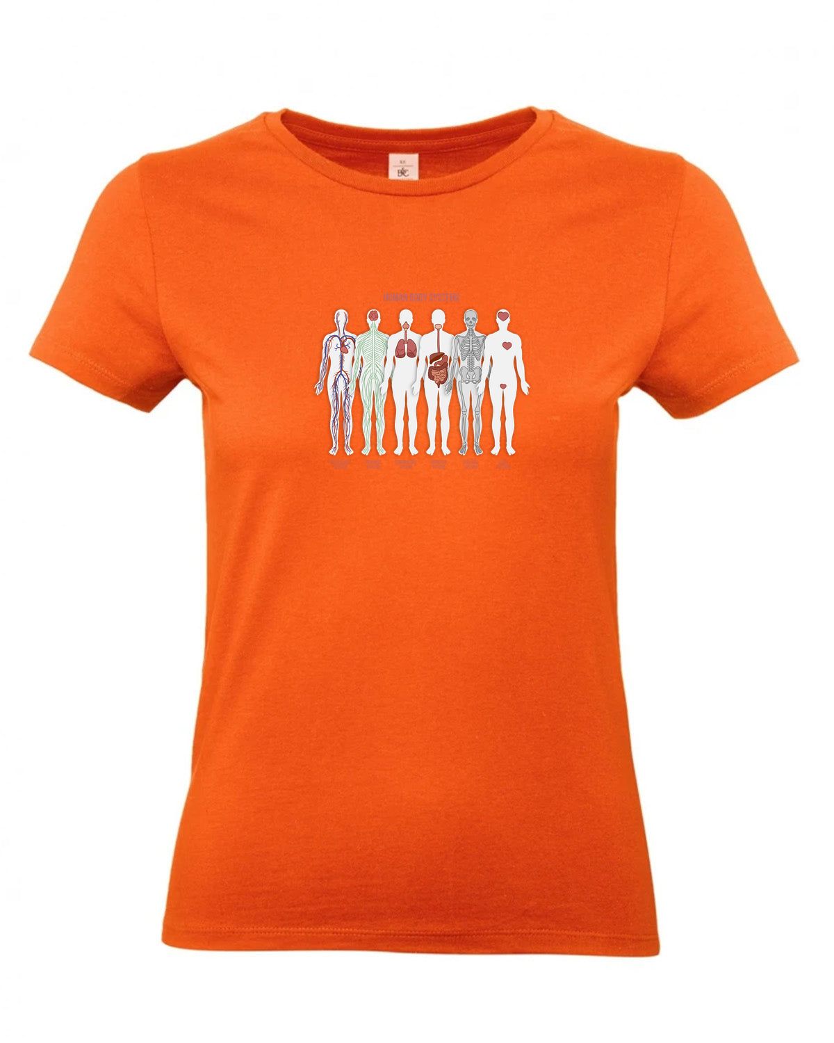 bundle-src:https://cdn.shopify.com/s/files/1/0946/1078/4639/files/TW04T_P_BC_235_01.jpg?v=1772459365