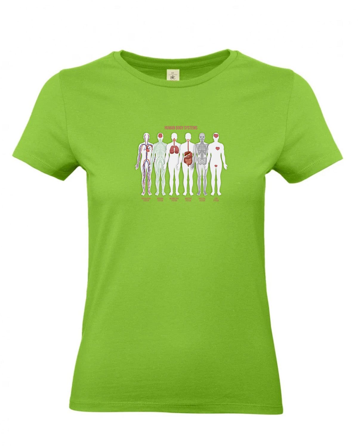 bundle-src:https://cdn.shopify.com/s/files/1/0946/1078/4639/files/TW04T_P_BC_511_01.jpg?v=1772459365