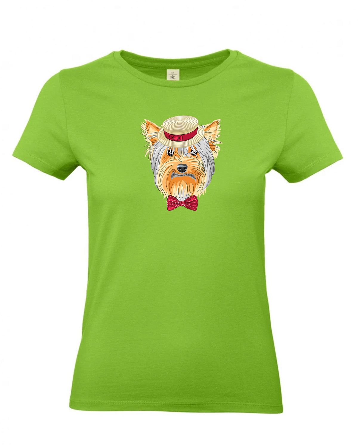 bundle-src:https://cdn.shopify.com/s/files/1/0946/1078/4639/files/TW04T_P_BC_511_01.jpg?v=1772459365