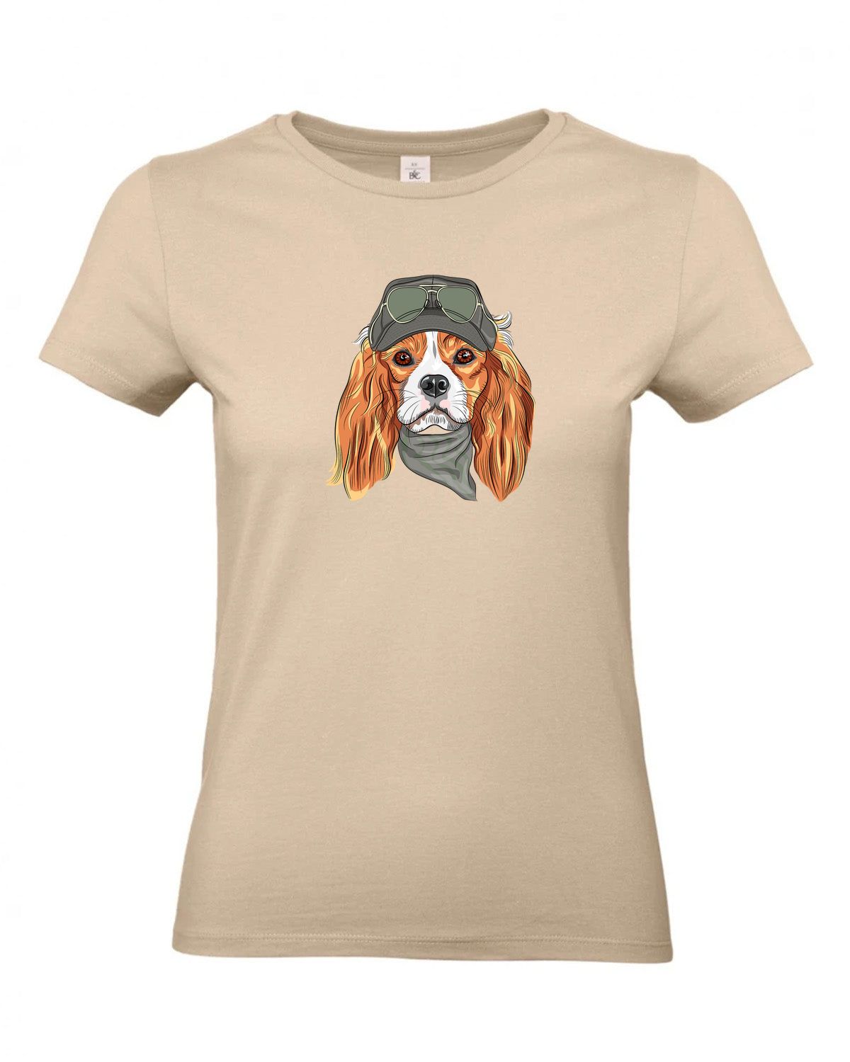 bundle-src:https://cdn.shopify.com/s/files/1/0946/1078/4639/files/TW04T_P_BC_120_01.jpg?v=1772459365