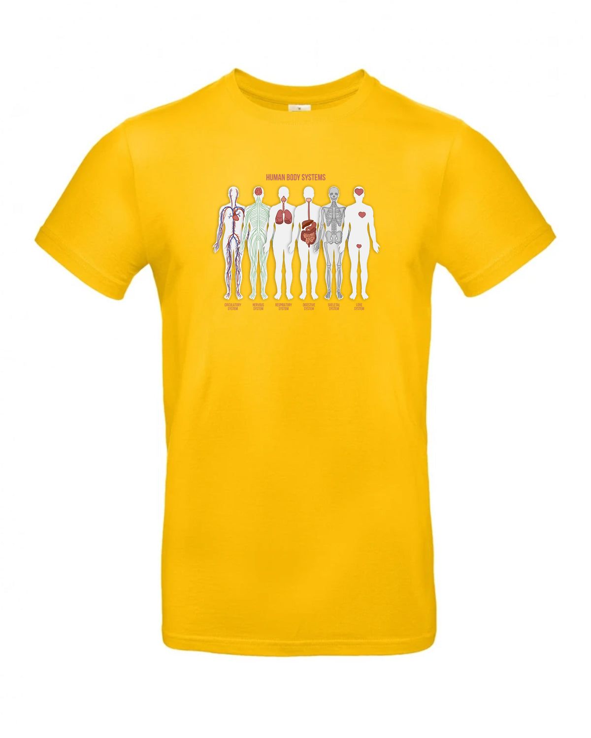 bundle-src:https://cdn.shopify.com/s/files/1/0946/1078/4639/files/TU03T_P_BC_210_01.jpg?v=1772523893