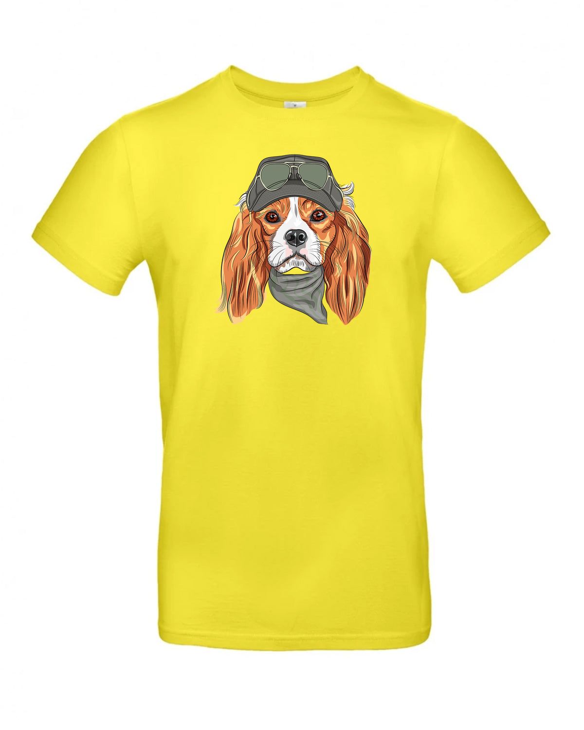 bundle-src:https://cdn.shopify.com/s/files/1/0946/1078/4639/files/TU03T_P_BC_201_01.jpg?v=1772523893