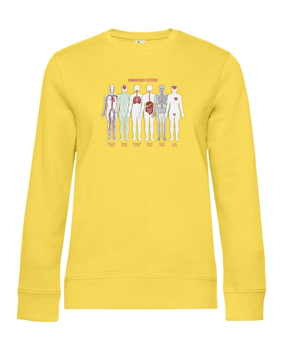 bundle-src:https://cdn.shopify.com/s/files/1/0946/1078/4639/files/WW01Q_P_BC_205_01.jpg?v=1773217929