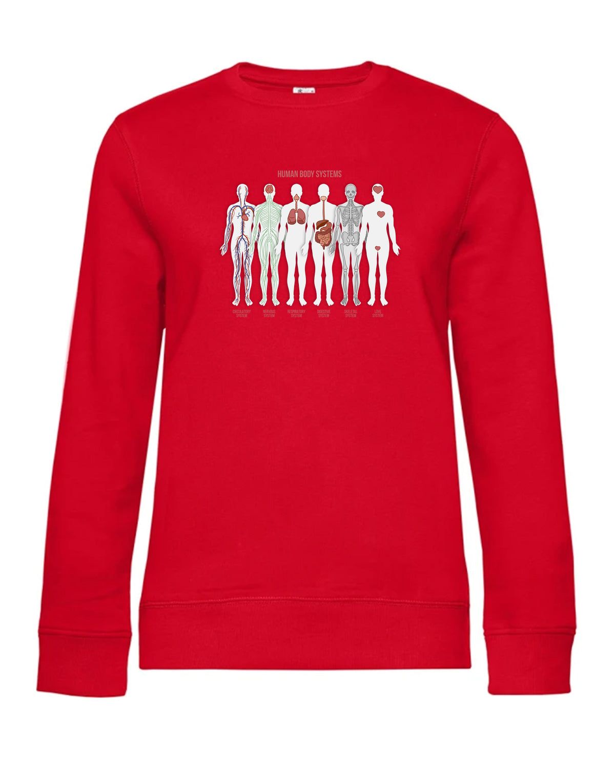 bundle-src:https://cdn.shopify.com/s/files/1/0946/1078/4639/files/WW01Q_P_BC_004_01.jpg?v=1773217929