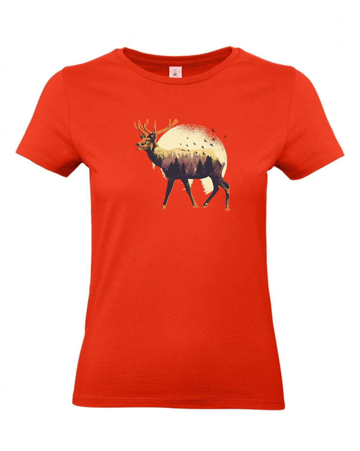 bundle-src:https://cdn.shopify.com/s/files/1/0946/1078/4639/files/TW04T_P_BC_007_01.jpg?v=1772459365