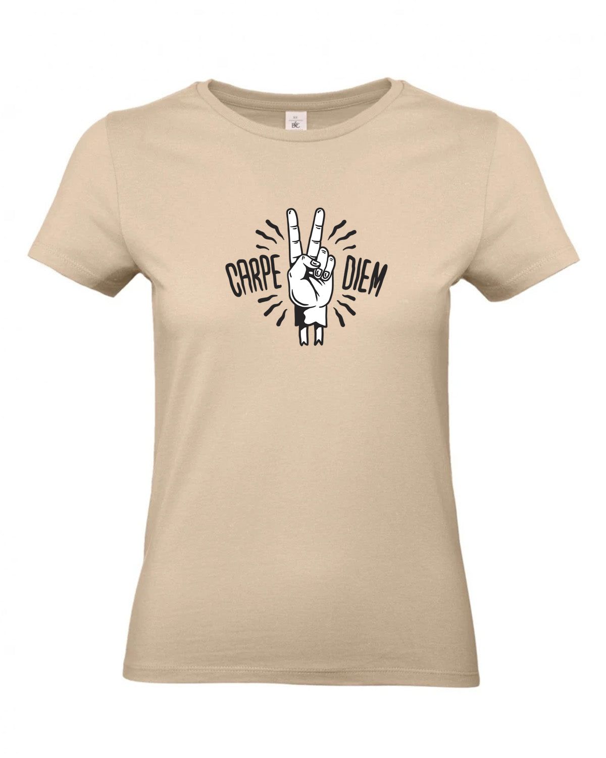 bundle-src:https://cdn.shopify.com/s/files/1/0946/1078/4639/files/TW04T_P_BC_120_01.jpg?v=1772459365