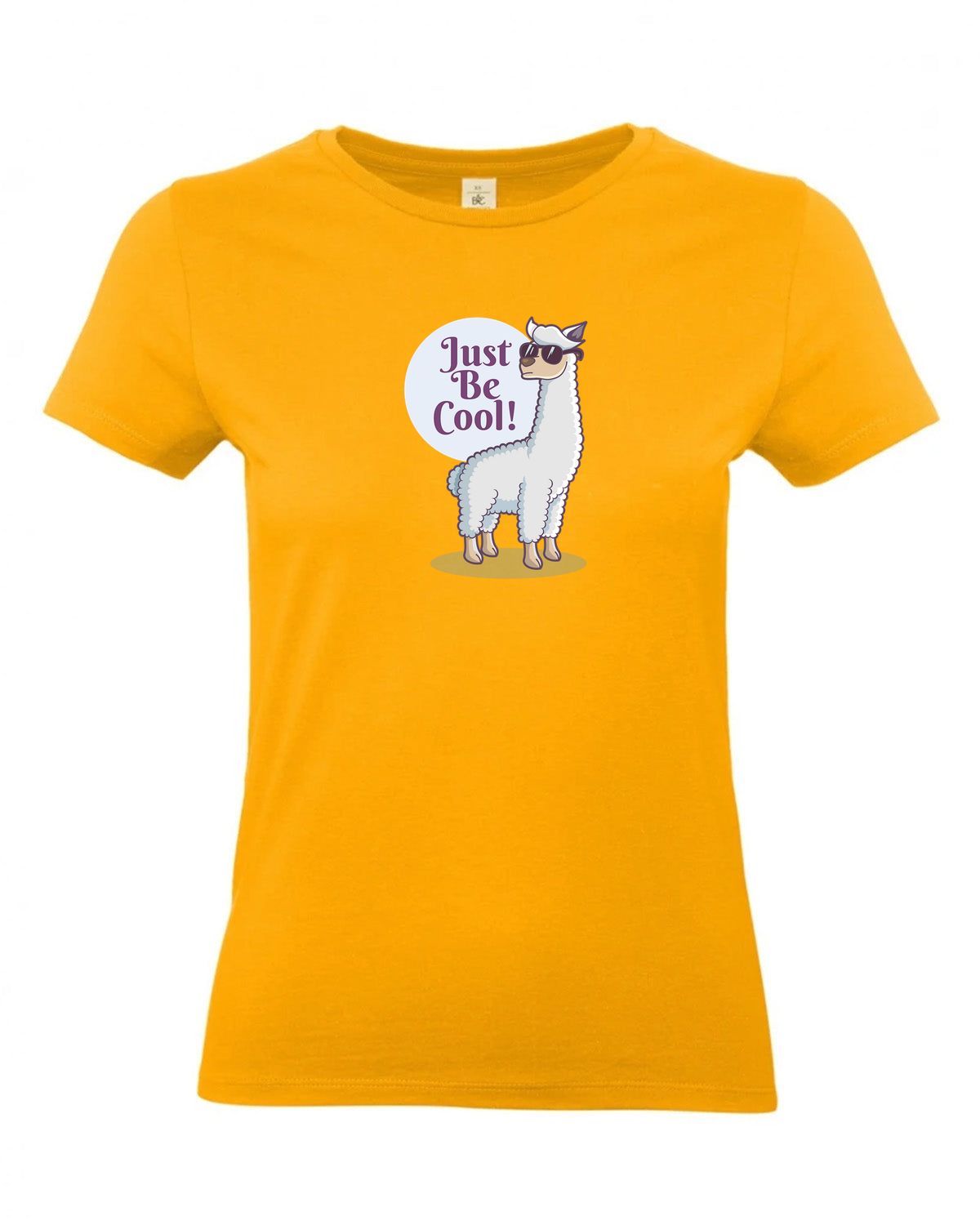 bundle-src:https://cdn.shopify.com/s/files/1/0946/1078/4639/files/TW04T_P_BC_220_01.jpg?v=1772459365