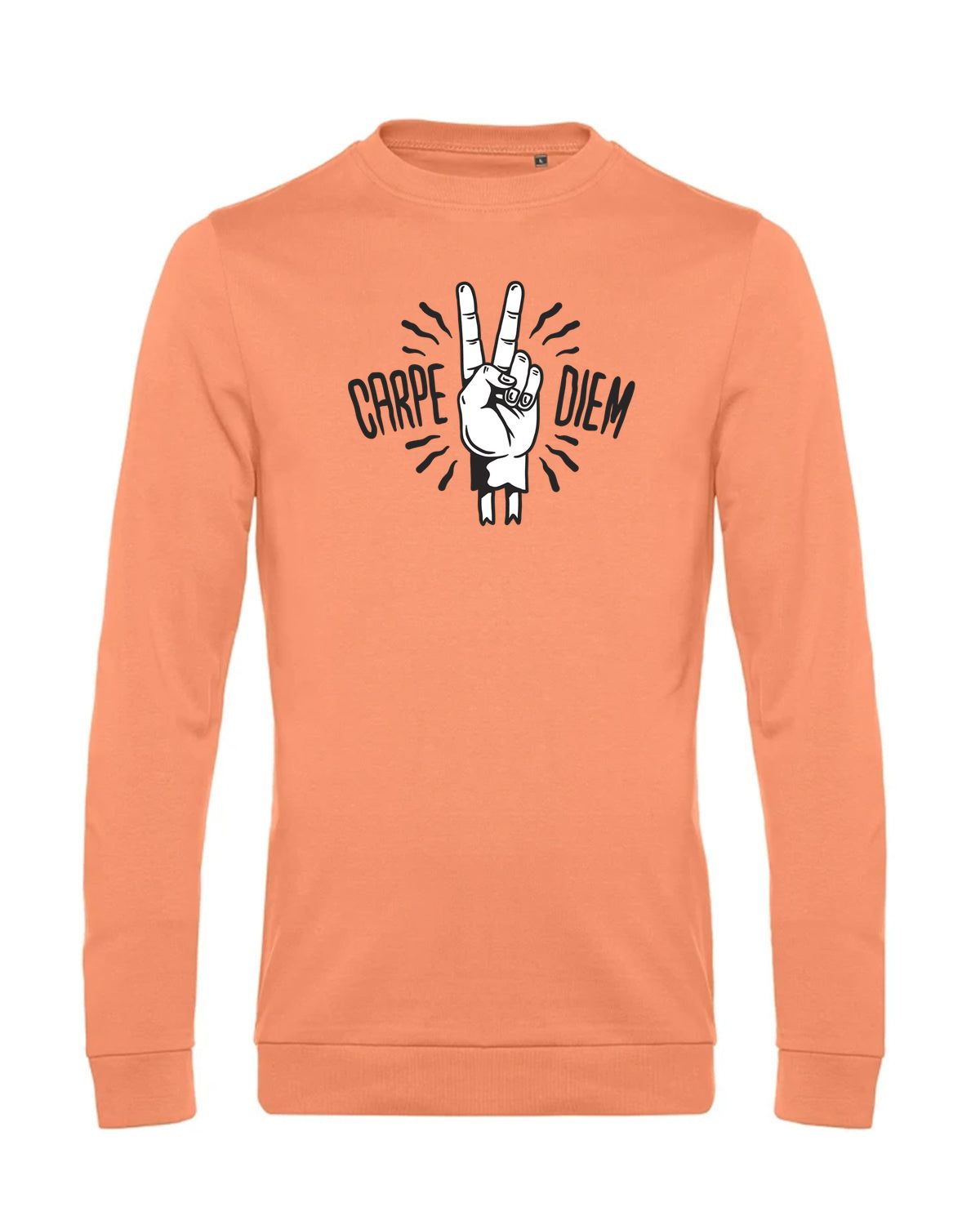 bundle-src:https://cdn.shopify.com/s/files/1/0946/1078/4639/files/WU01W_P_BC_255_01.jpg?v=1772633790